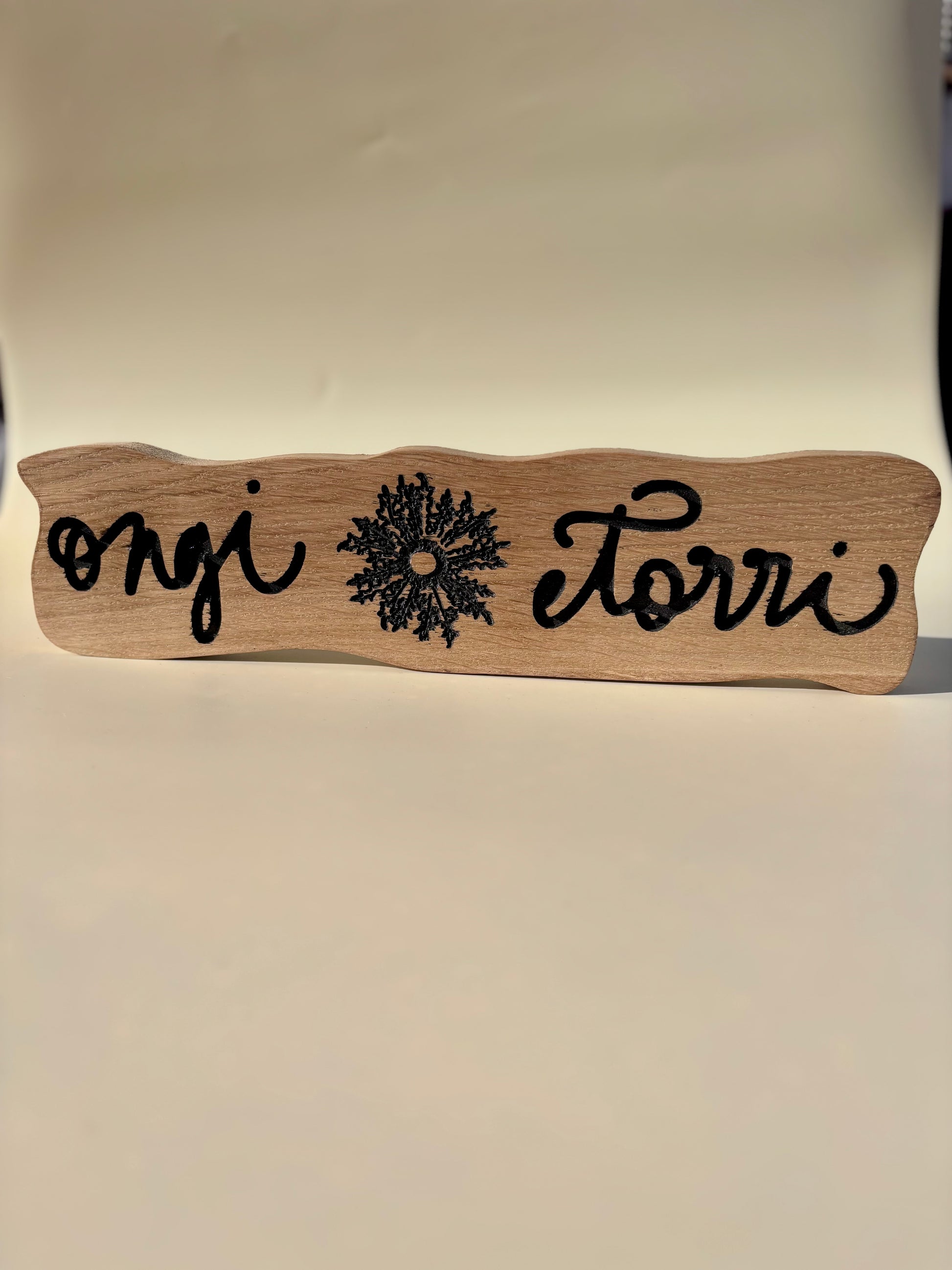 Ongi etorri forma ondas