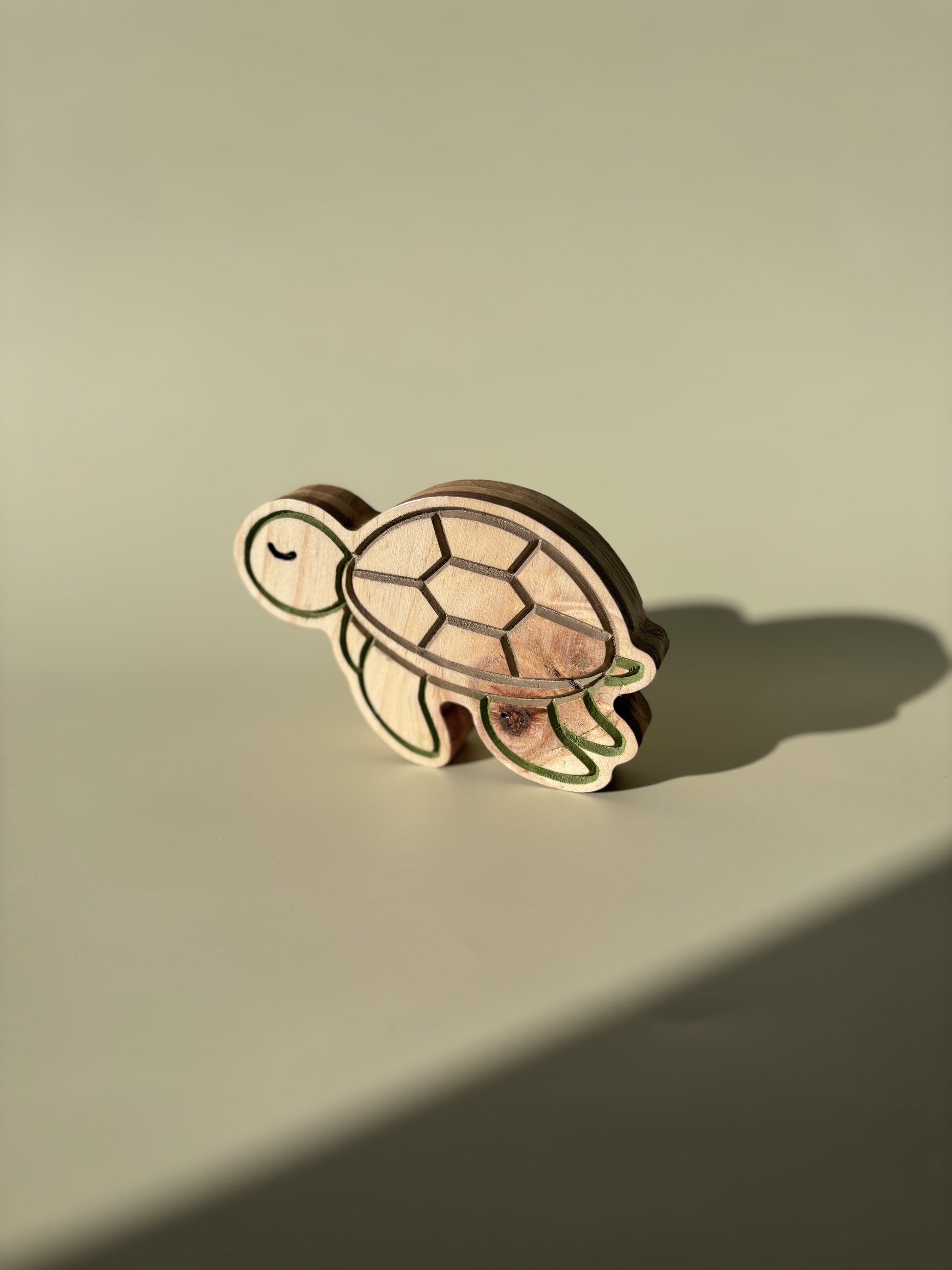Tortuga Nalu