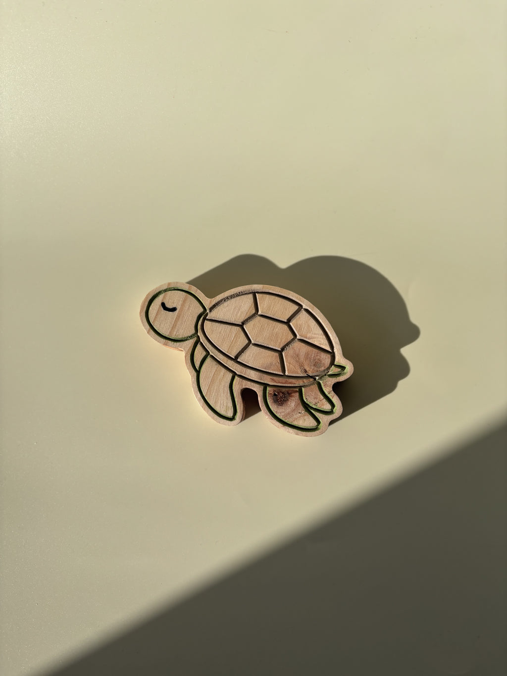 Tortuga Nalu