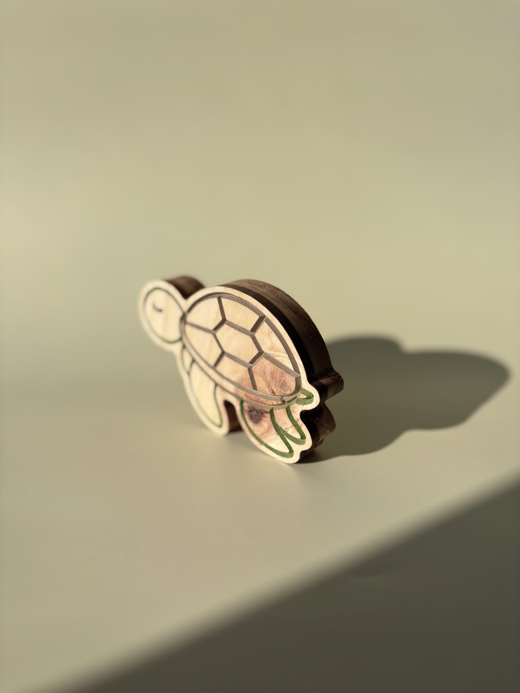 Tortuga Nalu